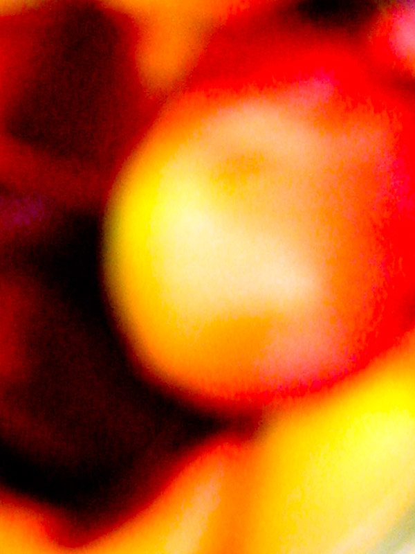 blurrypetalsDP.jpg