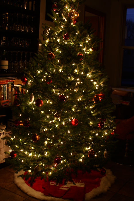 christmastree_2008.jpg