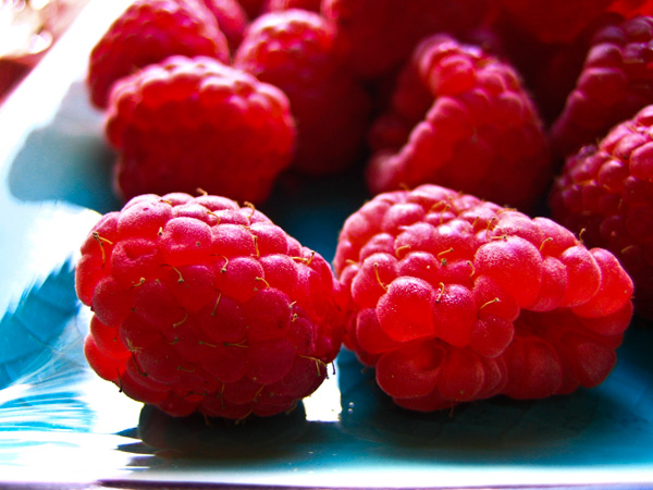 raspberries1.jpg