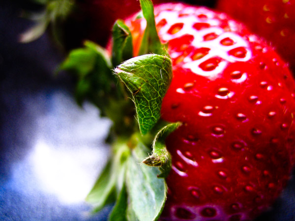strawberry1.jpg