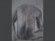 Charcoal Male - Art Students League, Life Drawing