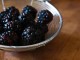 Blackberries in Strainer